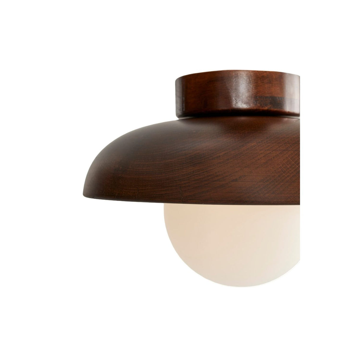 Hand-T (H 24 cm) Vägglampa Valnöt vit