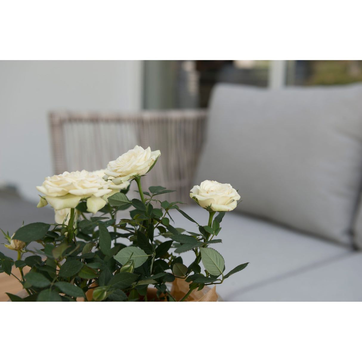 Himmelsnäs Utesoffa 3-Sits Beige