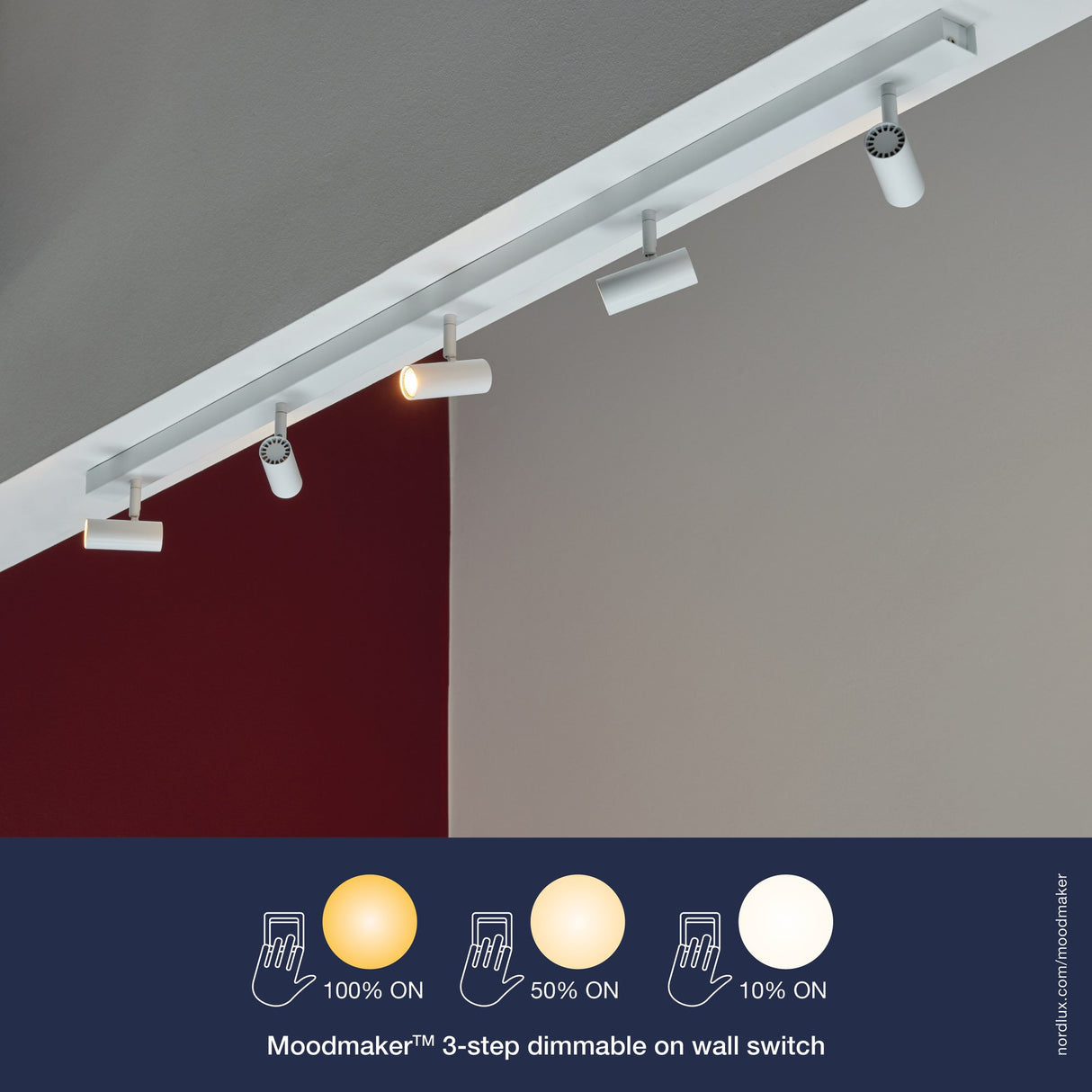 Omari Spotlight Vit, 5-Spot