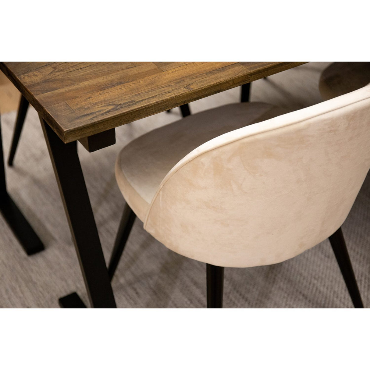 Jakarta, Sammet Rektangulär matgrupp Beige, Svart, Svart,Natur, 200 x 90