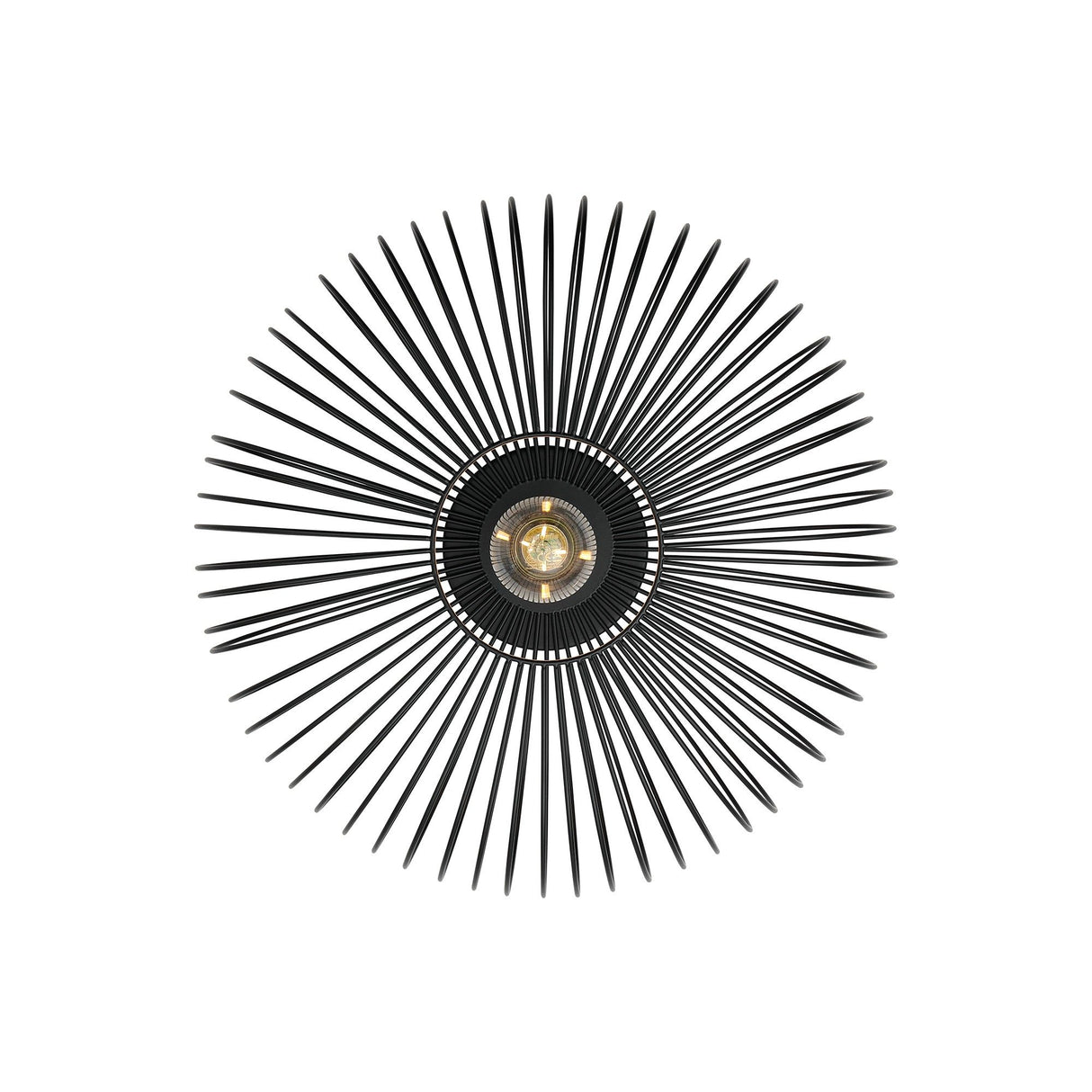 Beroni Svart Plafond