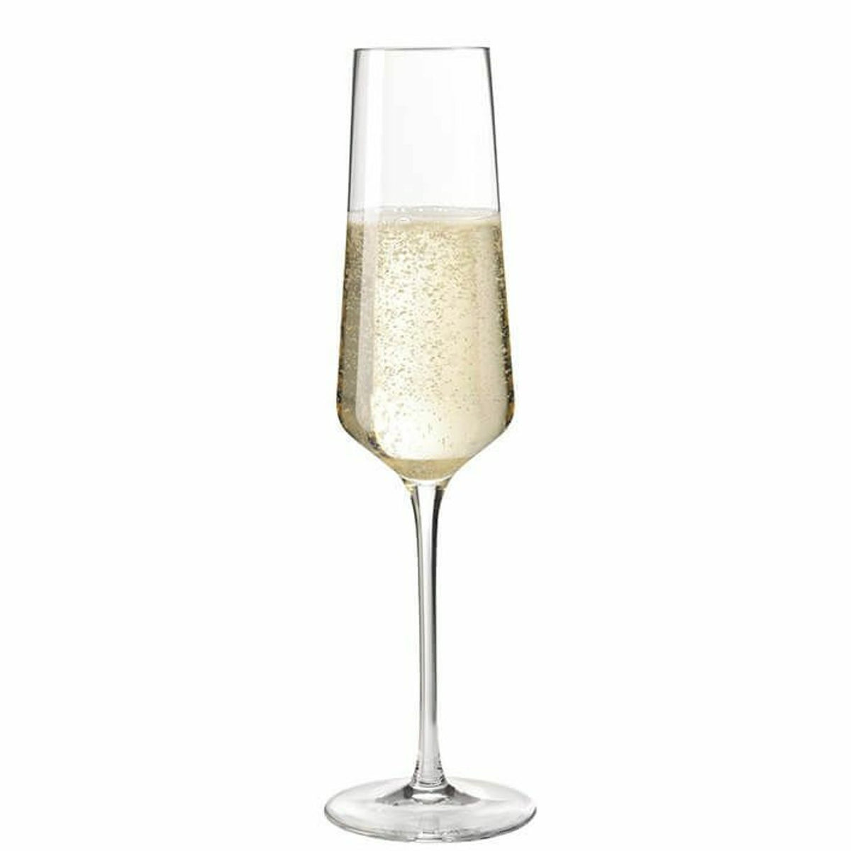 280ml puccini 6-pack Champagneglas