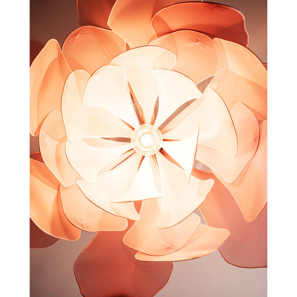 Lou Lou Taklampa Rosa