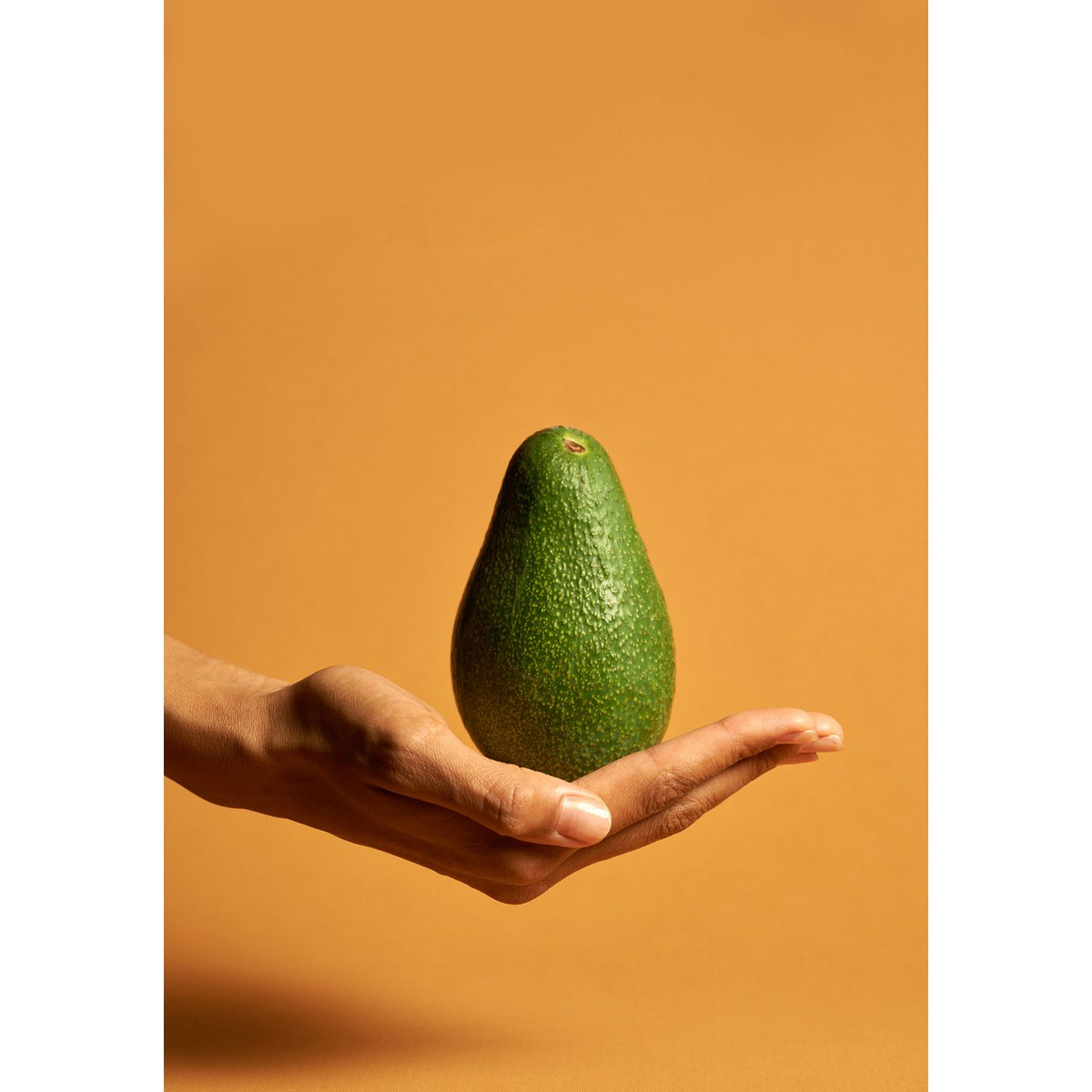 Avokado Poster Orange, 21 x 30 cm