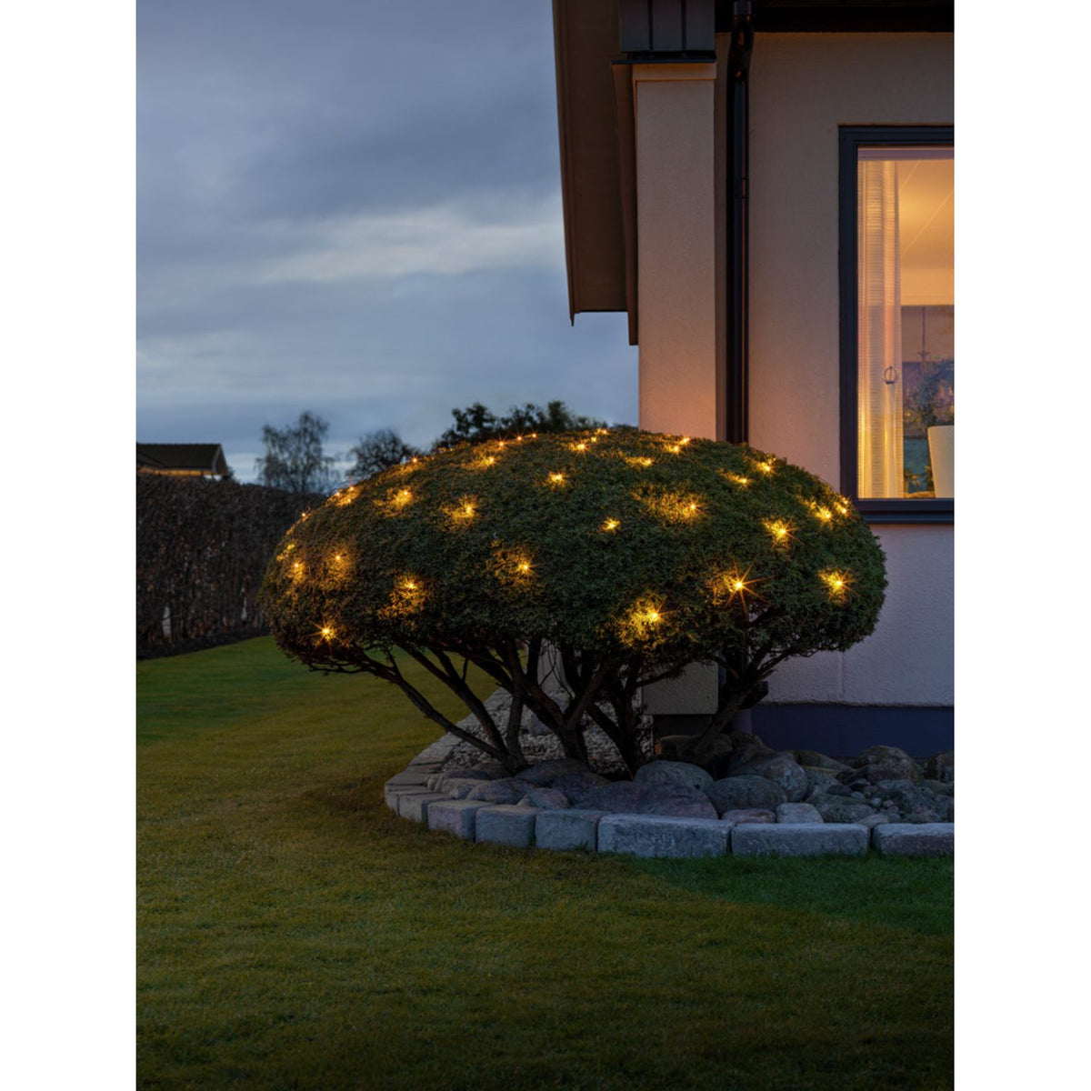 Nät Frostad LED Svart kabel 24V/IP44 Ljusslinga Ute 2x2m, Amber