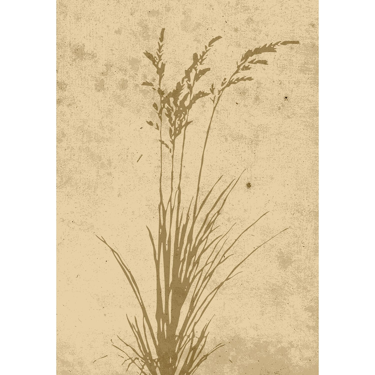 Växtkonst Poster Beige, 21 x 30 cm