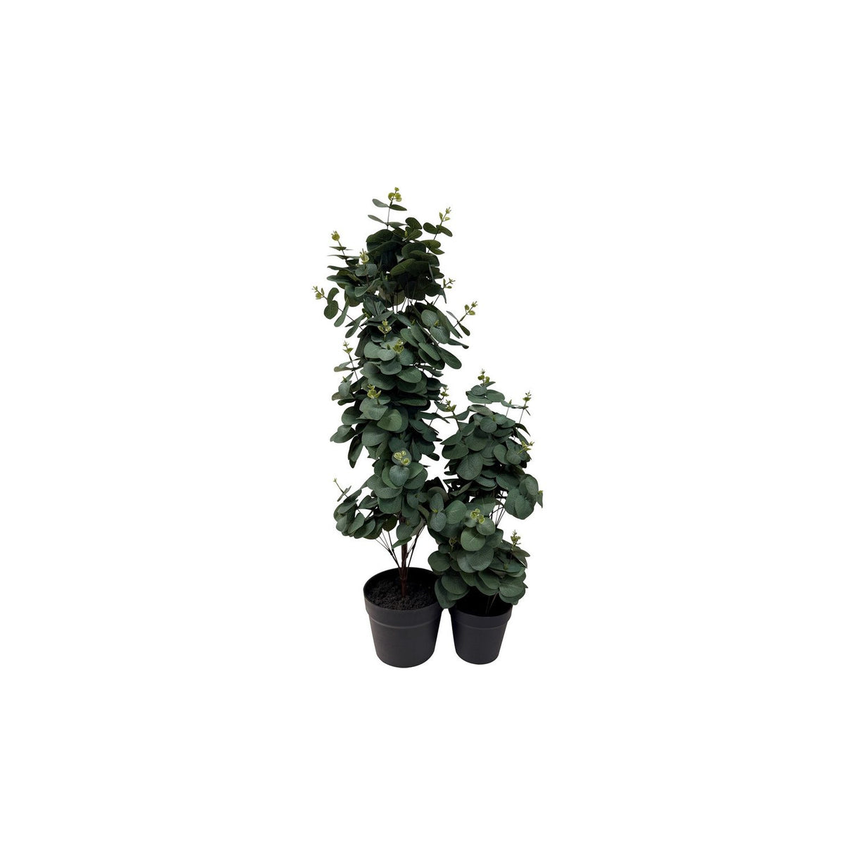 Viridis Eucalyptus Planta Planta 78 cm