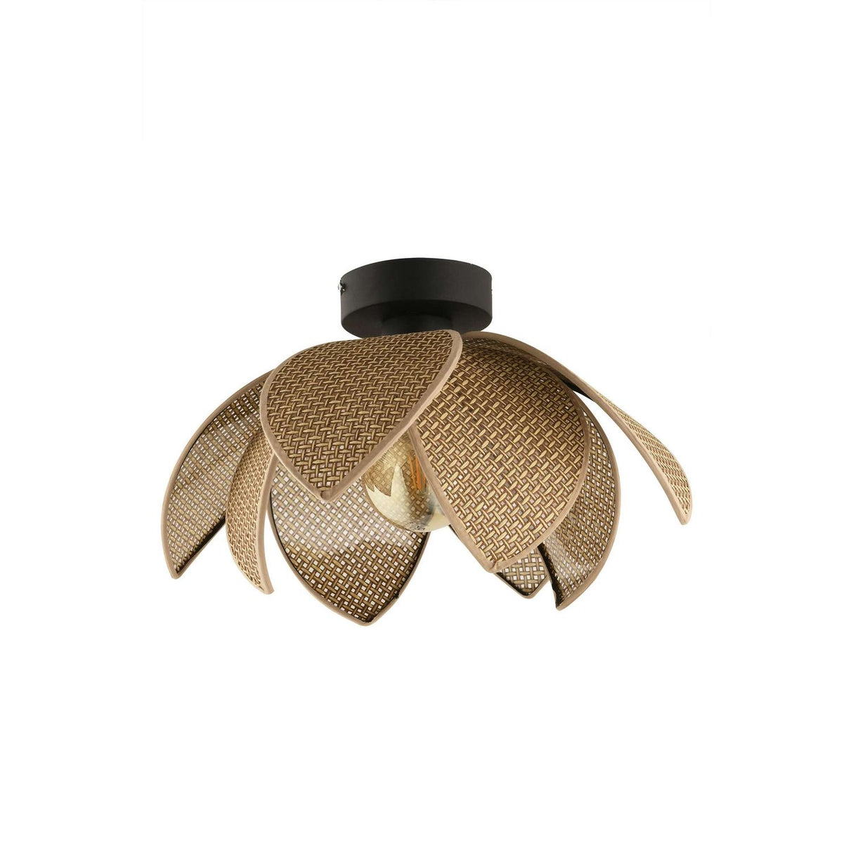Hera (H 26 cm) Beige Svart Krona