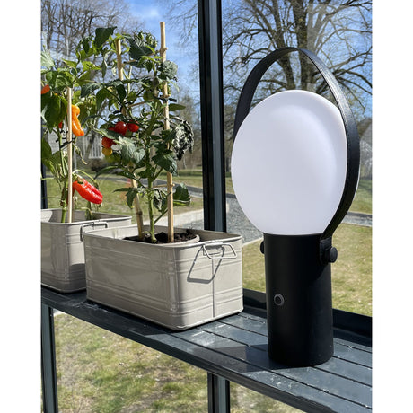 Bari Utomhus Sandsvart