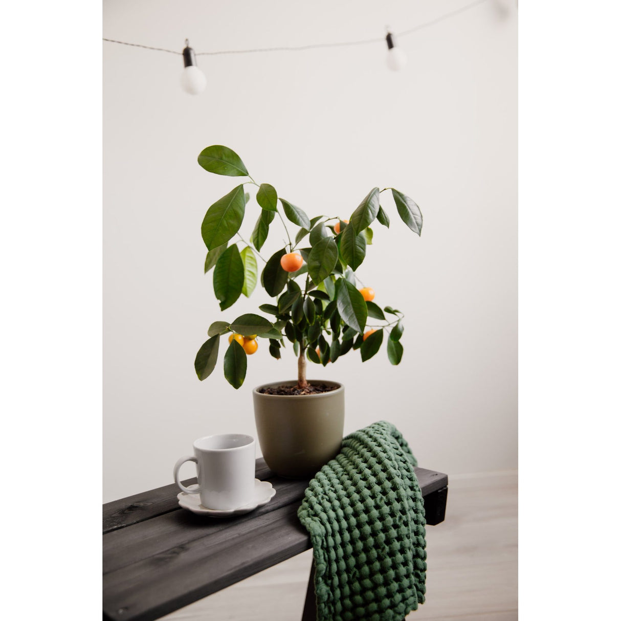 Granny Utebord Furu Oljad Svart