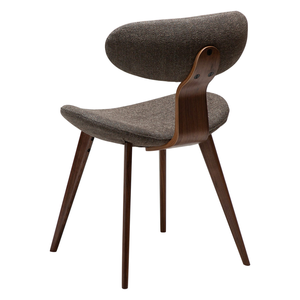 Buckle Stol Major Brown