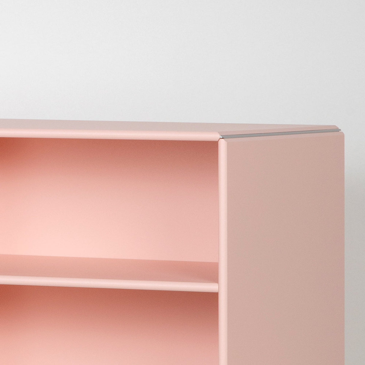 Palm Springs Quadrant-hylla Rosa