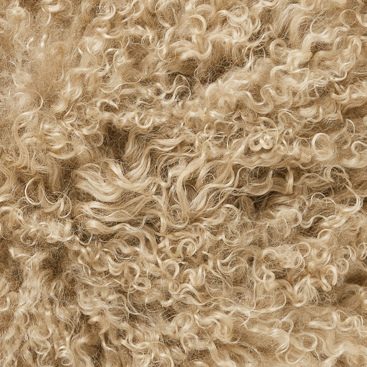Shansi 40x40 cm Kuddfodral Beige