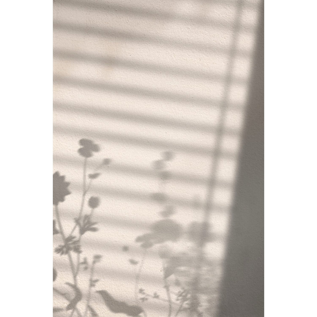 Blomskugga Poster Vit, 30 x 40 cm