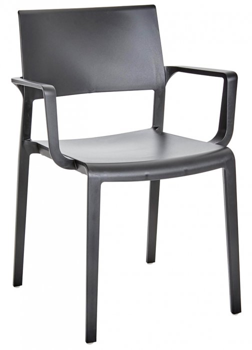 Arket Cafégrupp 60cm ink 2st Lilibet Karmstolar Svart