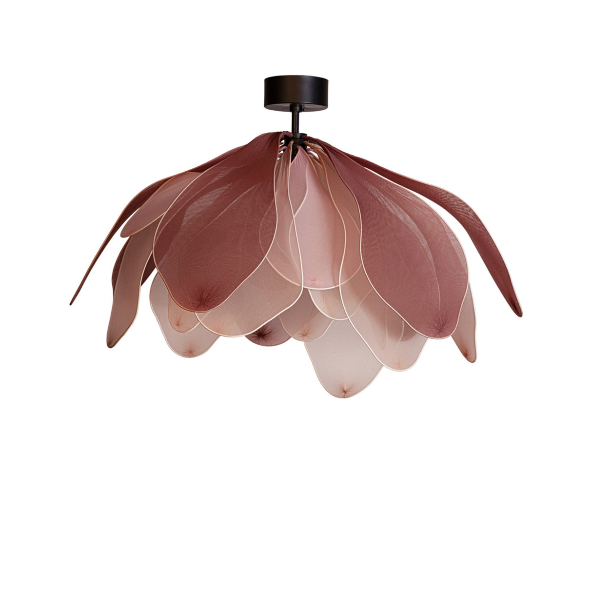 Lou Lou Plafond Rosa