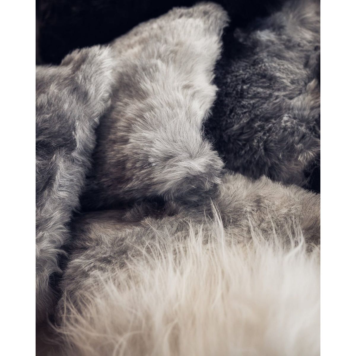 Iceland 50 cm Lammskinnskudde Shorn Black
