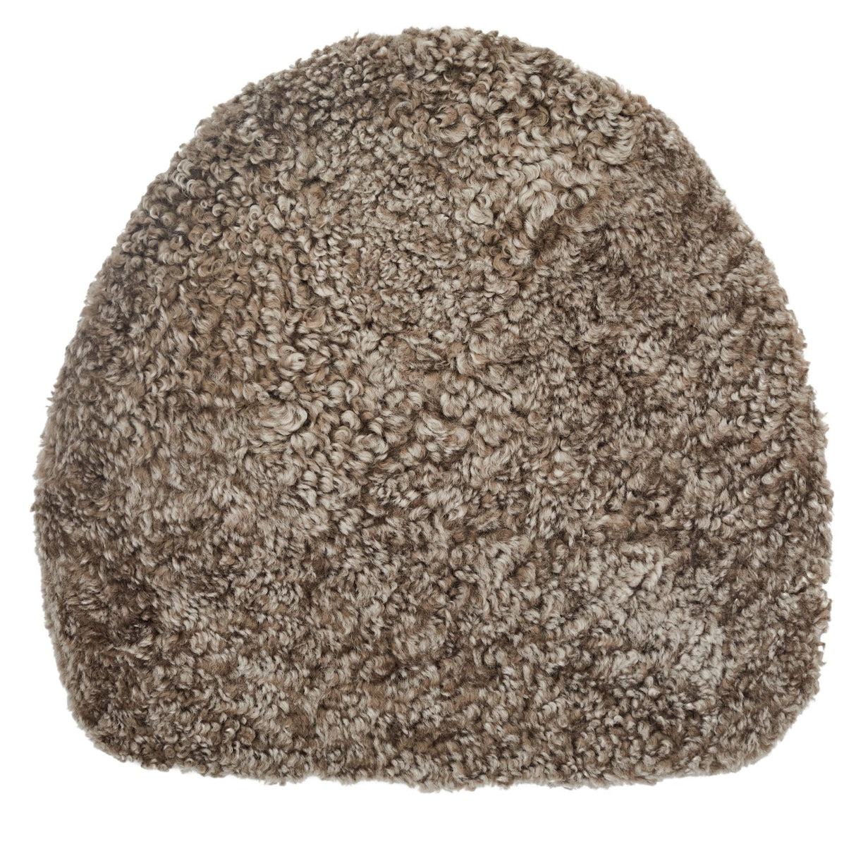 Curly Forma Sittdyna Sahara