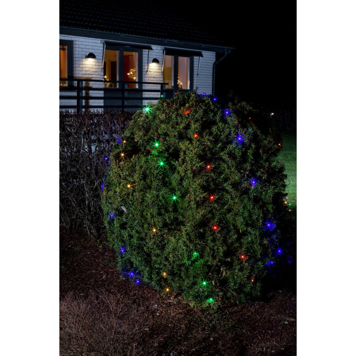 Nät LED Svart kabel 24V/IP44 Ljusslinga Ute 2x2m, Färgad