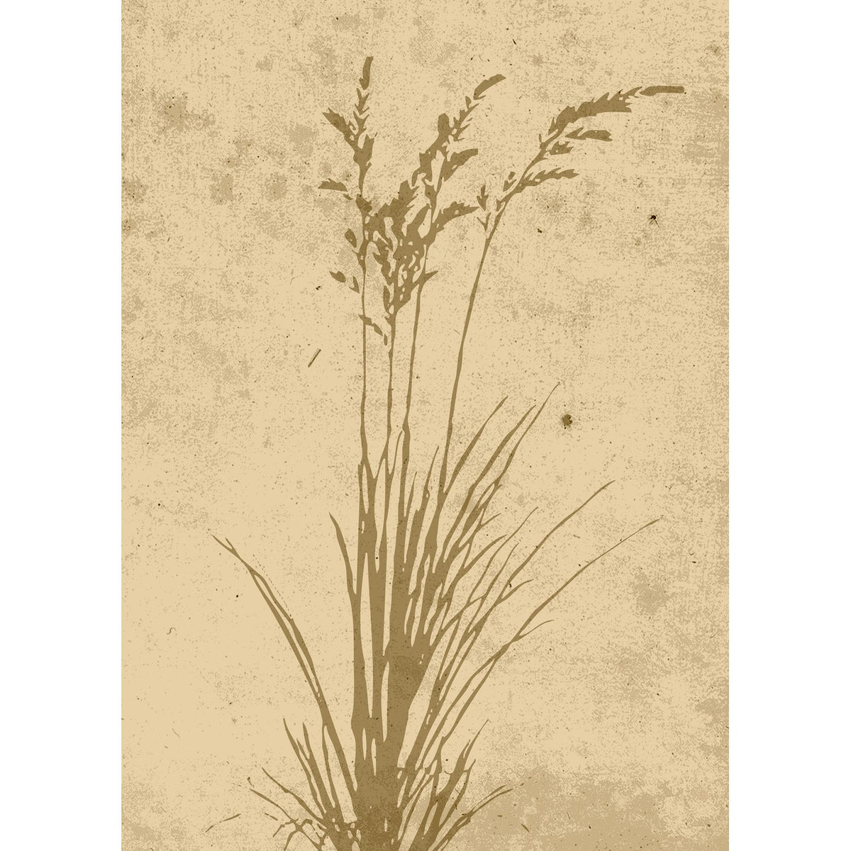 Växtkonst Poster Beige, 50 x 70 cm