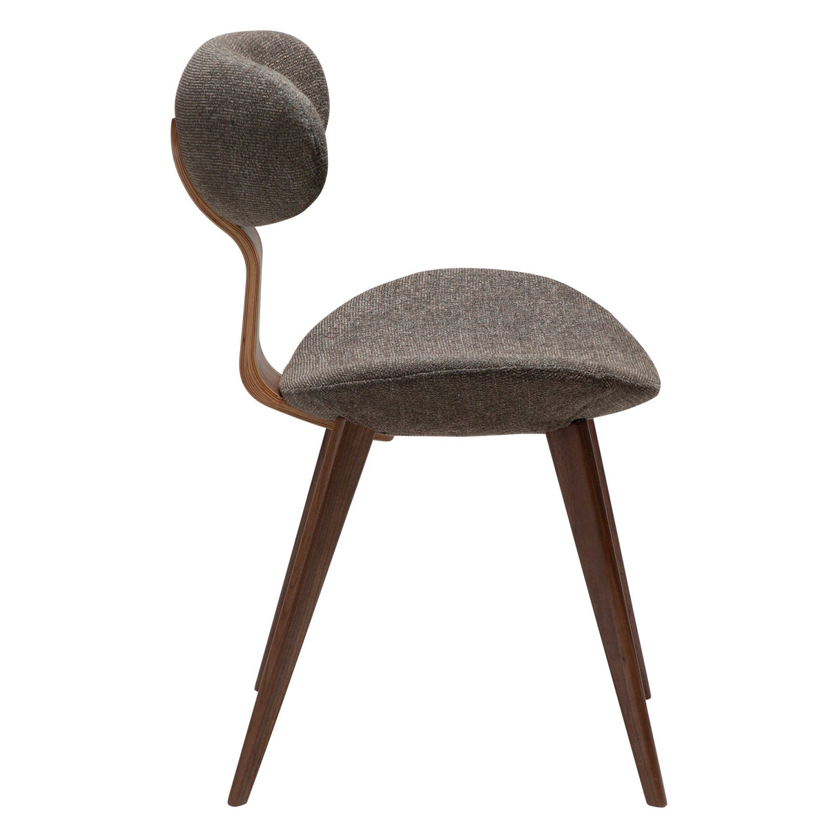 Buckle Stol Major Brown