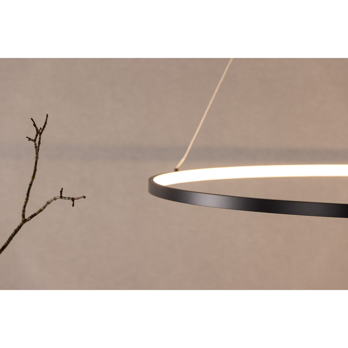 Rödäng x Josefin Lustig Taklampa Svart, 100x2