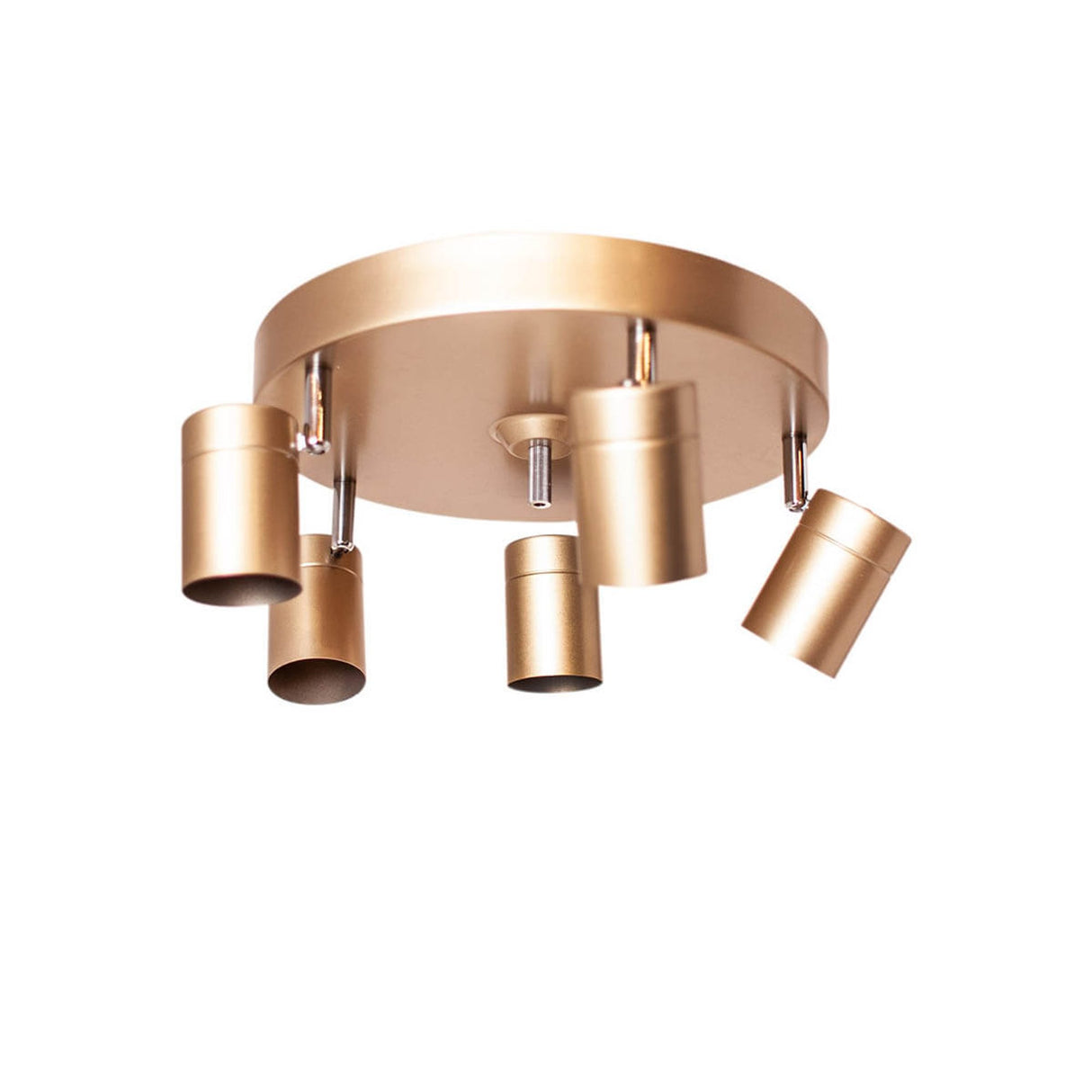 Correct Spotlight 5 Guld