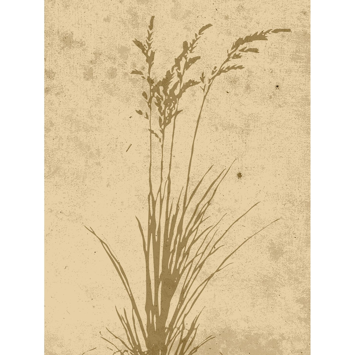 Växtkonst Poster Beige, 30 x 40 cm