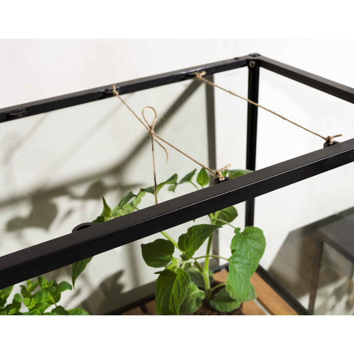 Grower Greens Växtskåp Svart 81x41x137 cm
