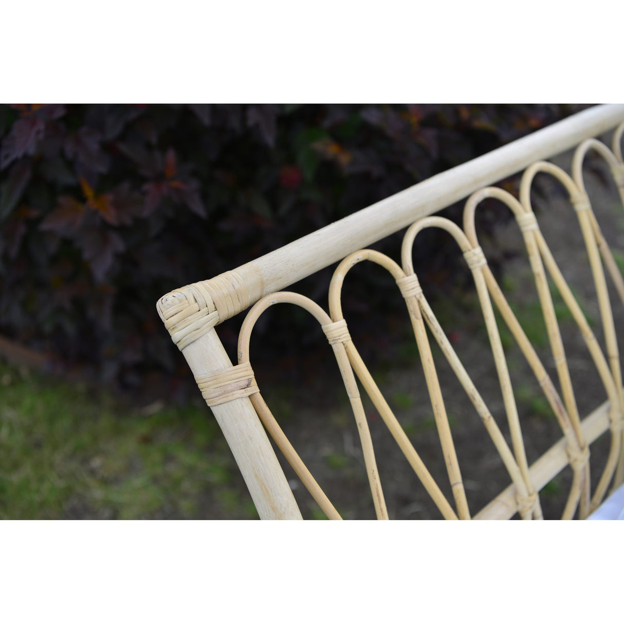 Lyckesö Dagbädd Natur