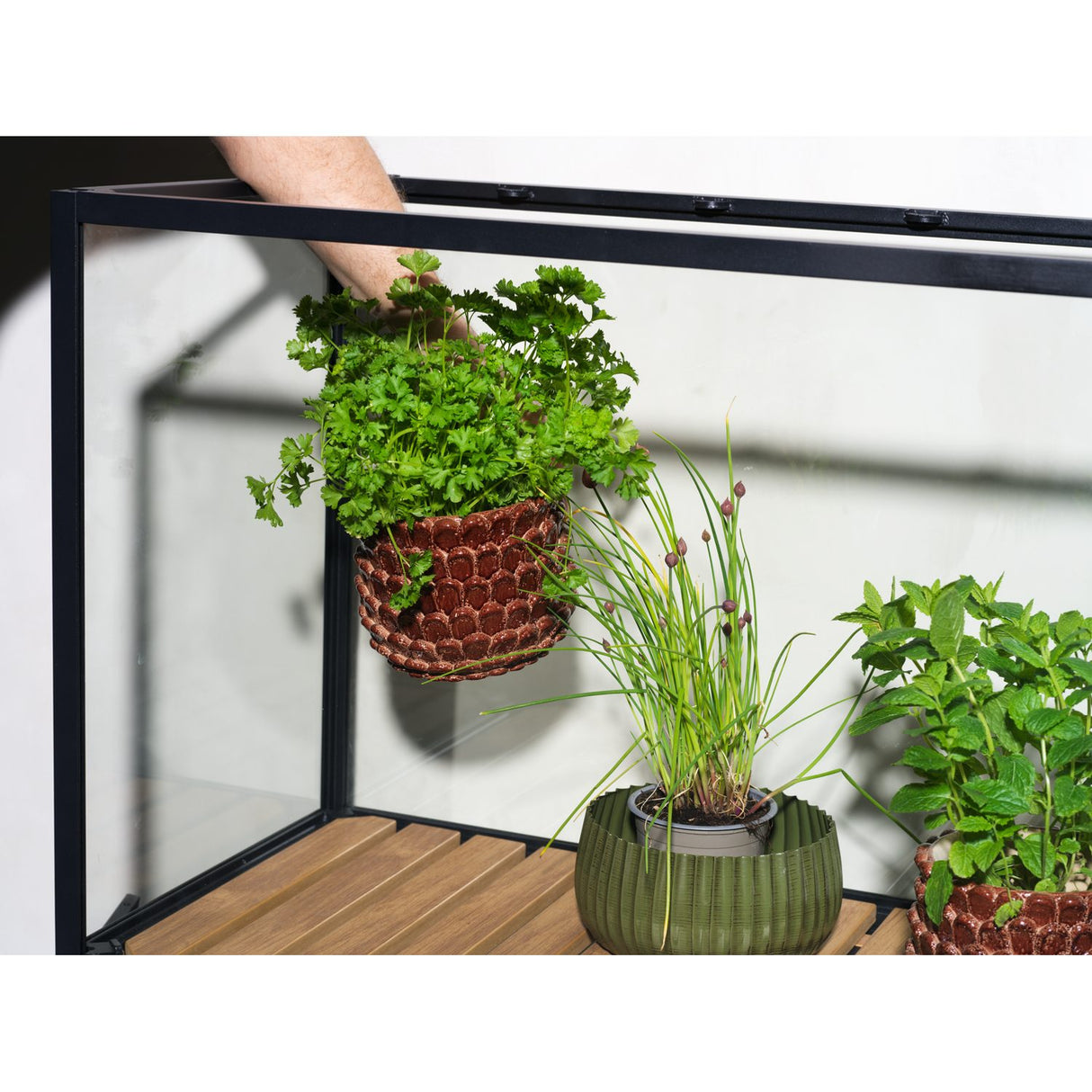 Grower Greens Växtskåp Svart 81x41x137 cm