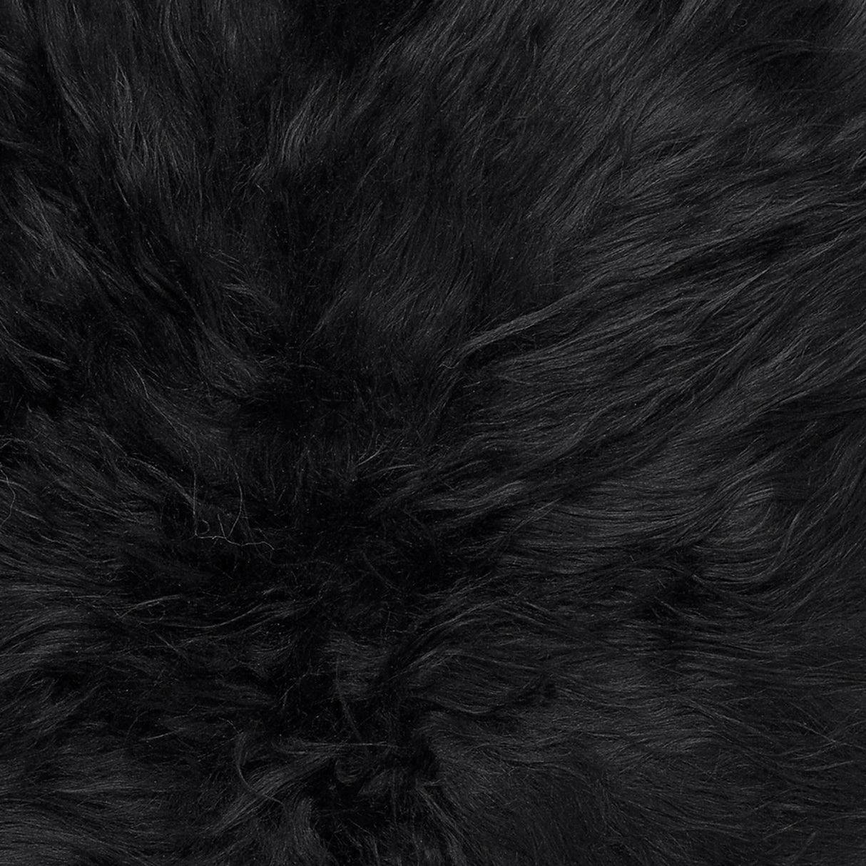 Molly 60x90 cm Fäll Black