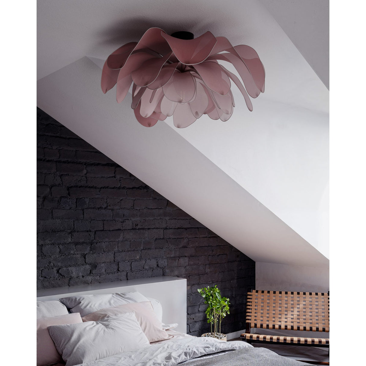 Lou Lou Plafond Rosa