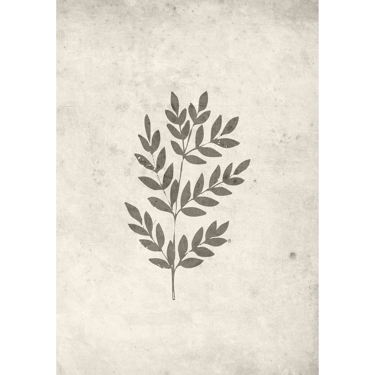 Vårblad Poster Beige, 21 x 30 cm