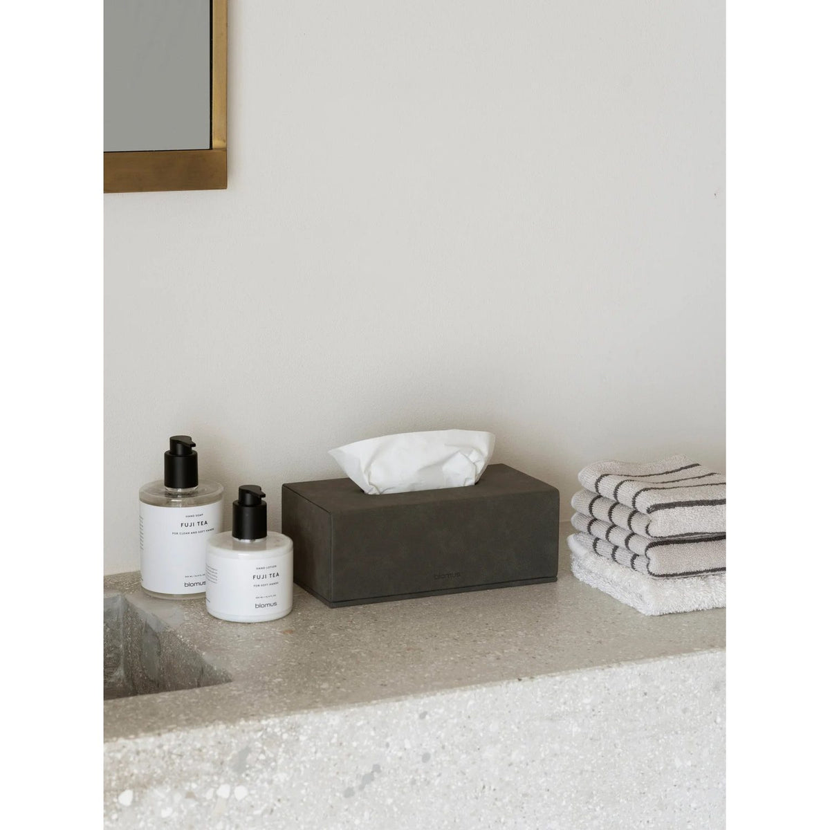 Arto set of 2 guest hand towel 30x50 cm Gästhandduk Moonbeam/Magnet