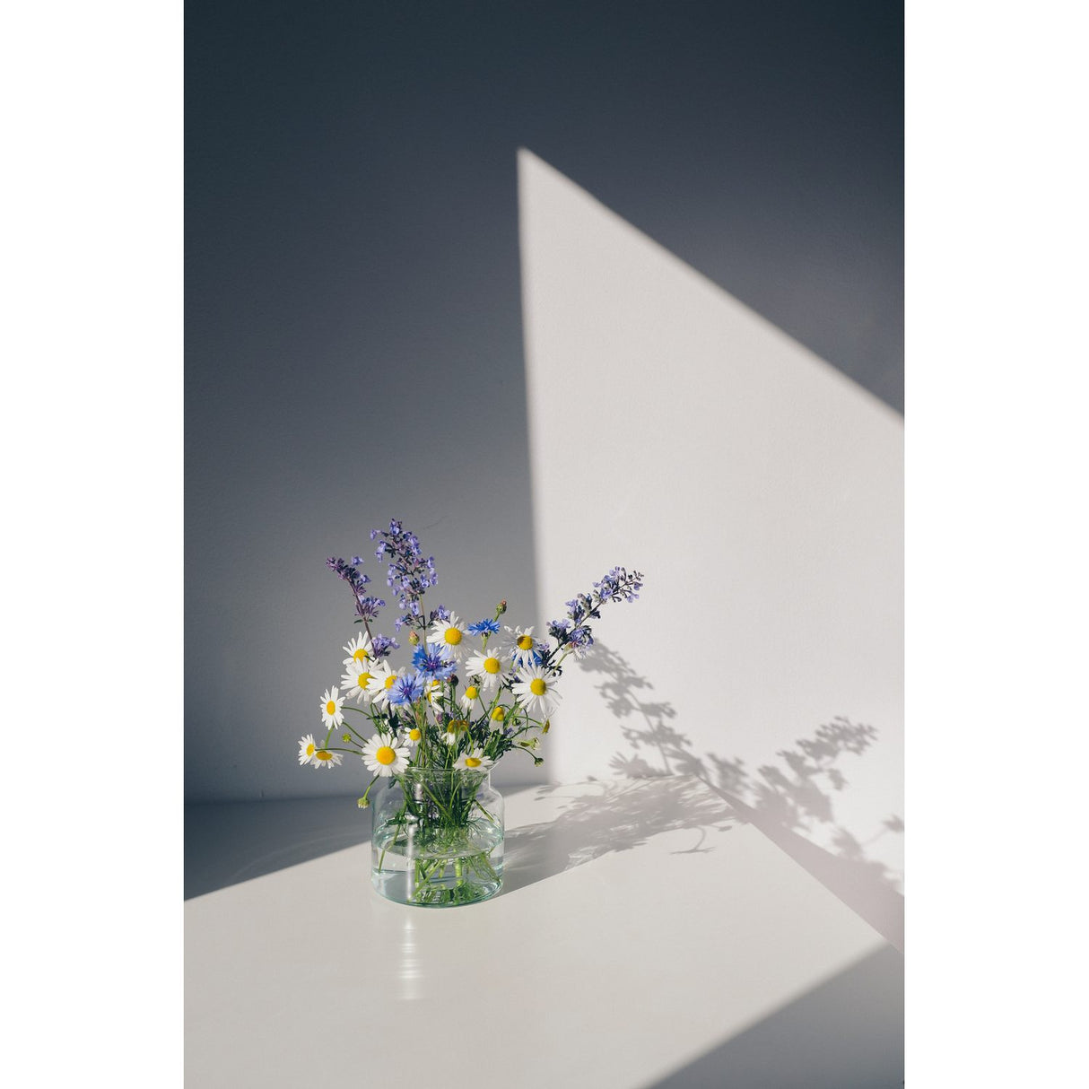 Blommor Poster Vit, 40 x 30