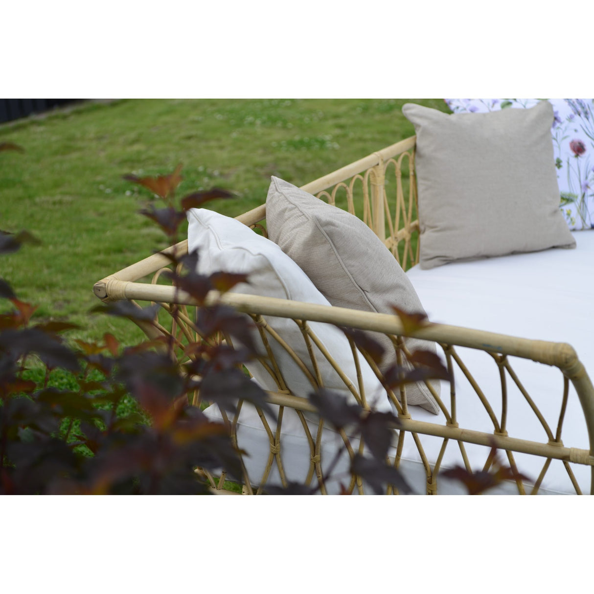 Lyckesö Dagbädd Natur