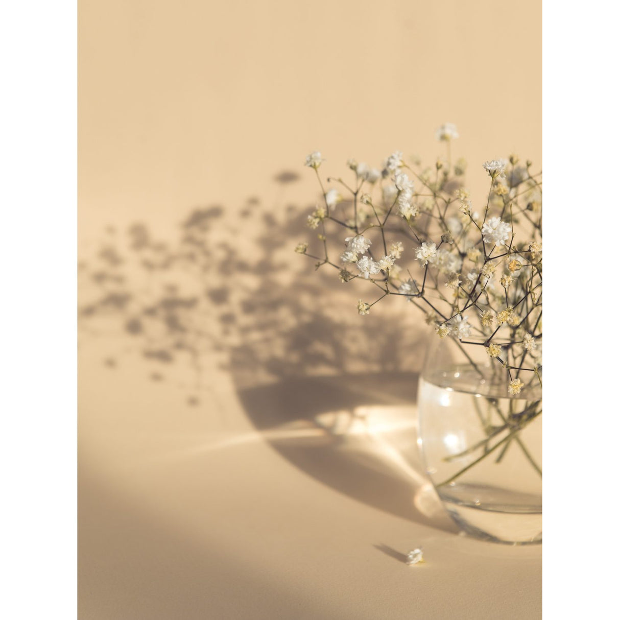 Vita blommor Poster Beige, 21 x 30 cm