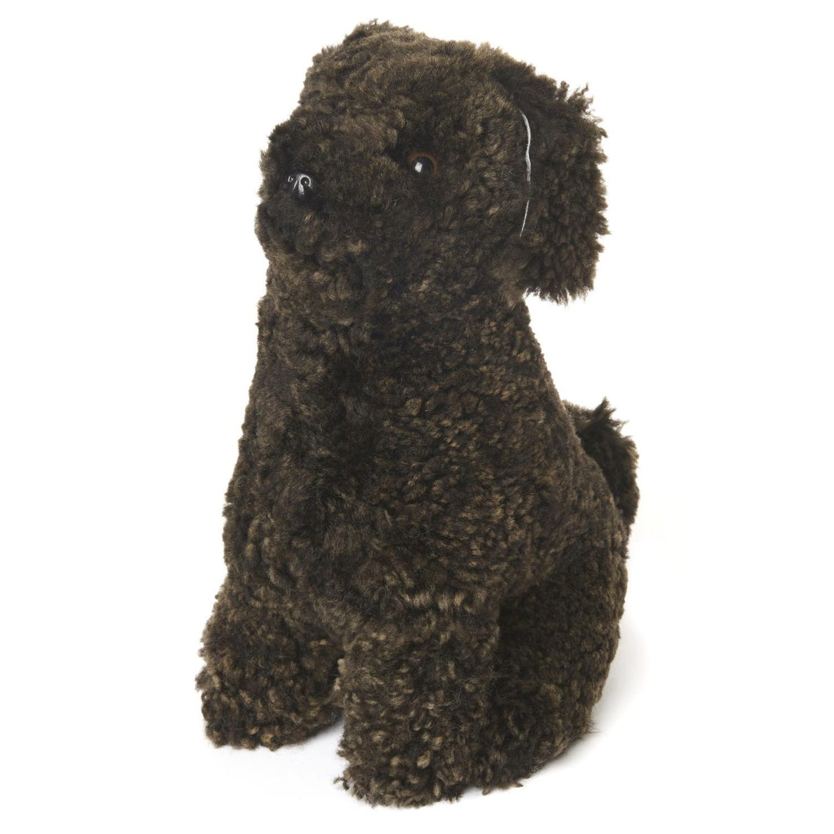Curly Gosedjur Brown