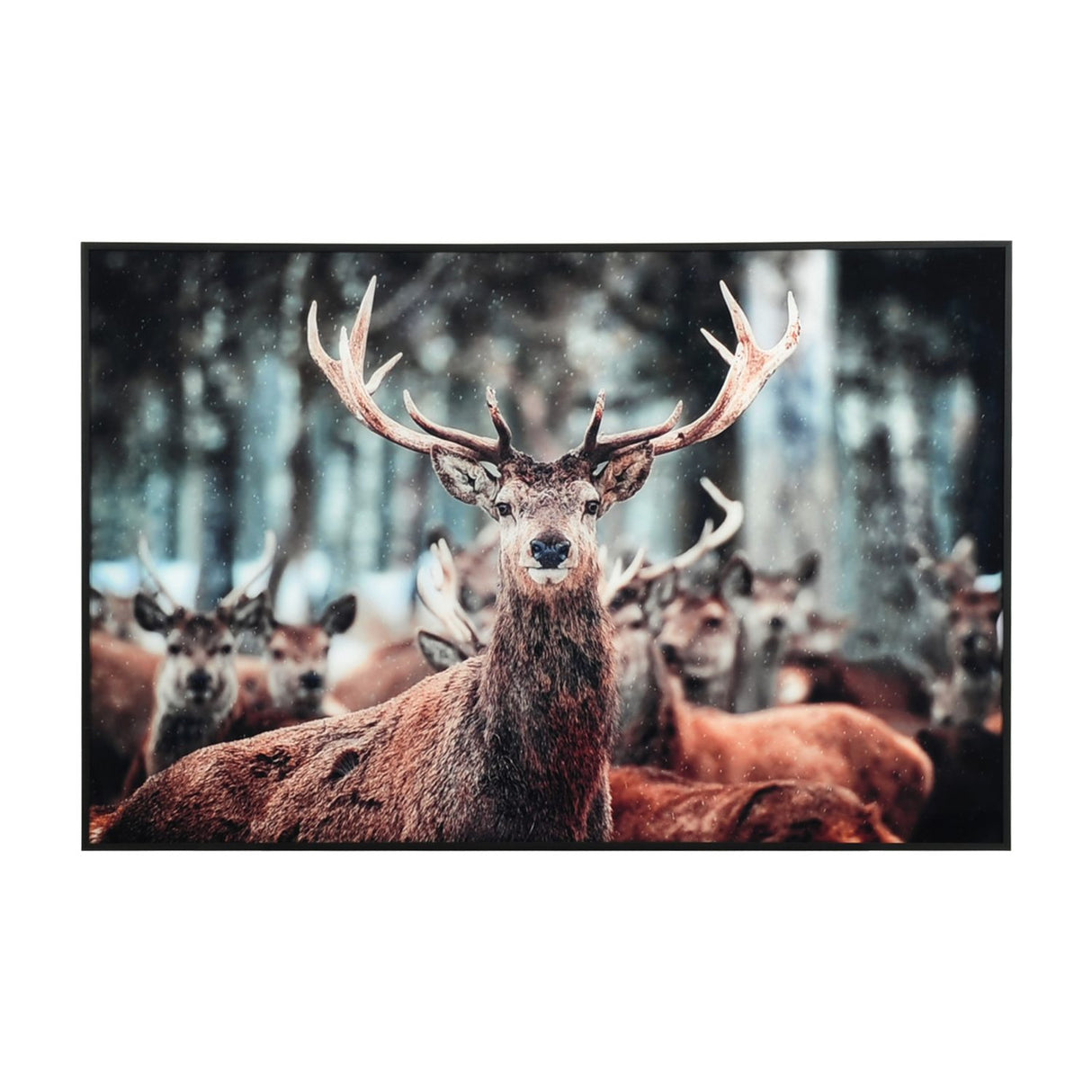 Bilde med HJORT Svart Ram 60x90 cm Tavla
