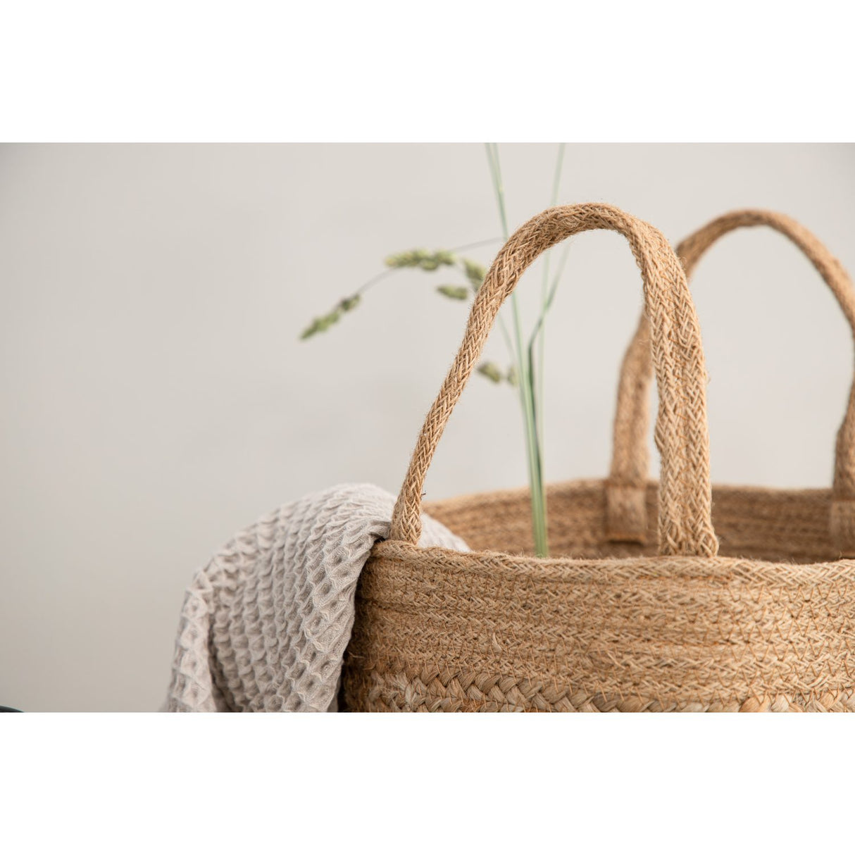 Mumbai Korg Natur, 32
