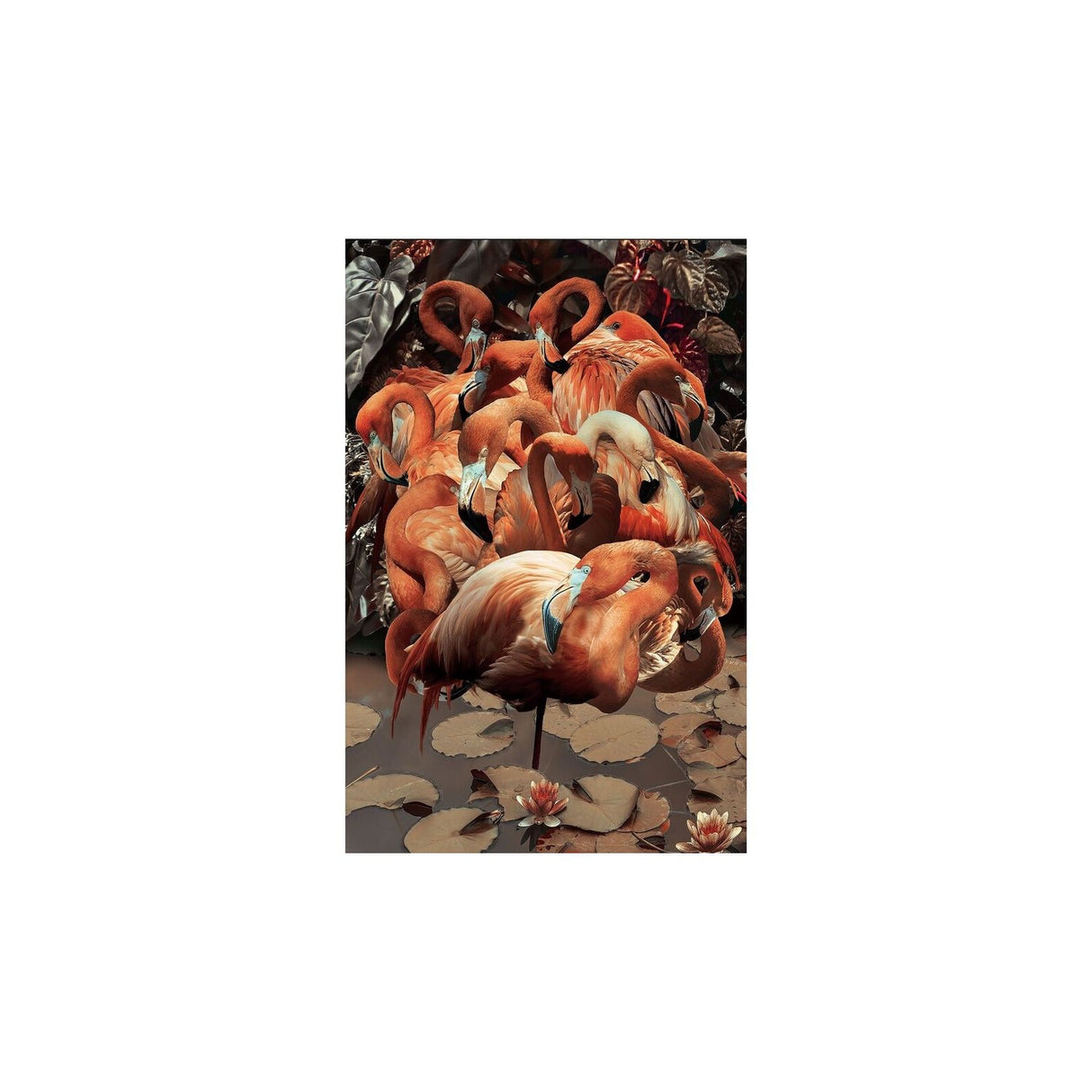 Bilde Flamingo 80x120 cm Glas Tavla Utan ram