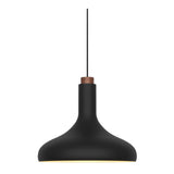 Fuji Taklampa Svart