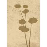 Blomkonst Poster Beige, 70 x 100 cm