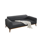 Astana 3-sits (222 x 90 x 80 cm) 3-sits bäddsoffa Antracit