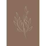 Ritat blad Poster Brun, 50 x 70 cm