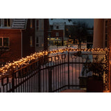 Cluster Frostad LED Svart kabel 30V/IP44 Ljusslinga Ute 8.78m, Amber