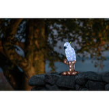 Papegoja akryl 47cm LED Ljusdekoration Ute