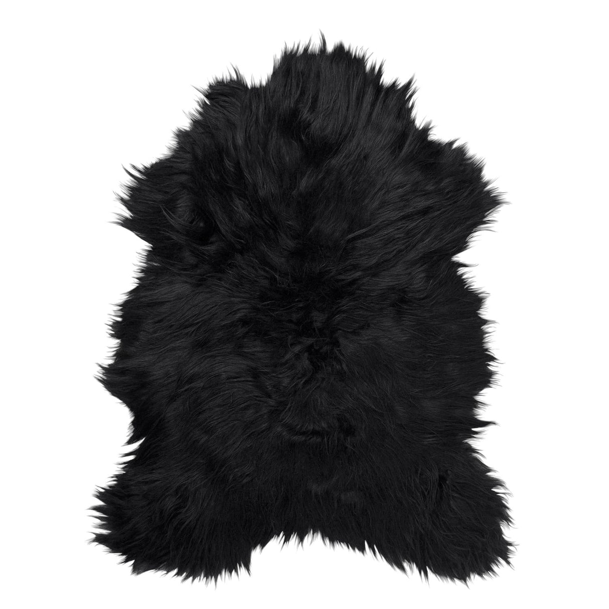 Molly 60x90 cm Fäll Black