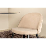 Pillan, Velvet Oval matgrupp